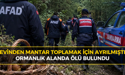 Karabük'te Yürek Yakan Olay: Mantar Toplamak İçin Gittiği Ormanda Can Verdi