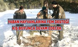 Zorlu Kış Şartlarında Yaban Hayvanları Unutulmuyor