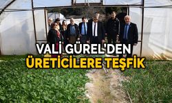 Vali Gürel: "Bölgemiz Tarımsal Faaliyetlere Oldukça Uygun"