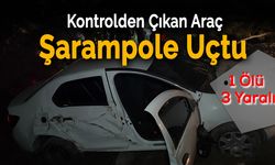 Karabük'te Otomobil Ağaca Çarptıktan Sonra Şarampole Uçtu