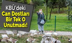 Üniversiteli Özlem Kampüsteki Can Dostları Yanlız Bırakmıyor