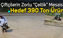 Çeltik Ekiminin Meşakkatli Yolculuğu Başladı