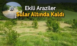 Karabük'te Tarım Arazileri Sular Altında Kaldı