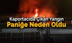 Çatı Katındaki Hayvanlar İçin Seferber Oldular