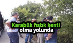 Karabük fıstık kenti olma yolunda