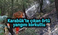 Karabük’te çıkan örtü yangını korkuttu