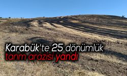Karabük'te 25 dönümlük tarım arazisi yandı
