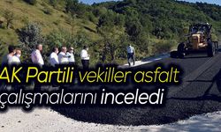 AK Partili vekiller asfalt çalışmalarını inceledi