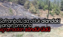 Safranbolu'da otluk alandaki yangın ormana sıçramadan söndürüldü