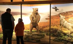 Yenice Ormanları Açık Hava Müzesini Andırıyor