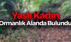 Yaşlı Kadını Jandarma Ekipleri Buldu