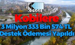 KOSGEB Kobi'lere Destek Olmaya Devam Ediyor