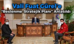 “Beslenme Stratejik Planı” Vali Fuat Gürel'e Anlatıldı