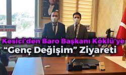 Osman Kesici'den Baro Başkanı Köklü'ye Hayırlı Olsun Ziyareti