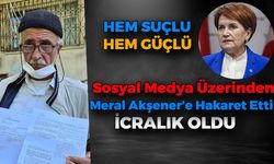 Meral Akşener'e Hakaret Etti, Cezayı Yedi