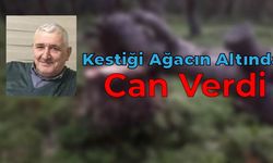 KESTİĞİ AĞACIN ALTINDA CAN VERDİ