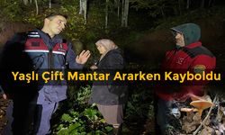 Mantar Ararken Ormanda Kayboldular