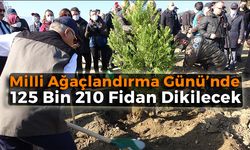 Karabük'te 11 Kasım Milli Ağaçlandırma Günü