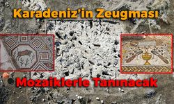 Karadenizin Zeugması Hadrianoupolis Mozaiklerle Tanınacak