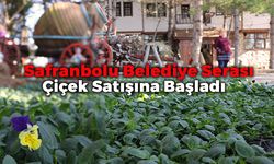 Safranbolu Belediye Serası Çiçek Satışına Başladı