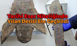 Tarihi Eser Kaçakçıları Yakalandı