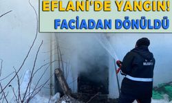 Eflani'de Çıkan 2 Yangın Korkuttu