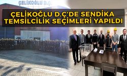 Çelikoğlu D.Ç'de İşçiler Sandık Başına Gitti