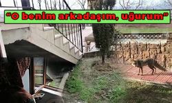 Tilki ile kurduğu diyalog tebessüm ettirdi