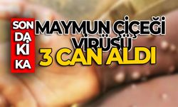 MAYMUN ÇİÇEĞİ VİRÜSÜ ŞİMDİDEN 3 CAN ALDI