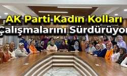 AK Parti Karabük Kadın Kolları Seçim Çalışmalarını Sürdürüyor