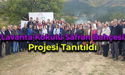 “Lavanta Kokulu Safran Bahçesi" Projesi Tanıtıldı