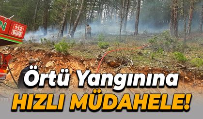 Eflani'de Ormanlık Alanda Çıkan Yangın Hızla Söndürüldü