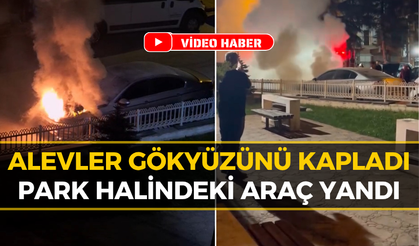 Karabük'te Korku Dolu Anlar: Otomobil Alev Alev Yandı!