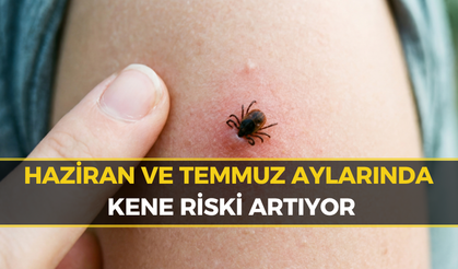 Karabük İçin Korkutan Kene ve KKKA Riski Uyarısı!