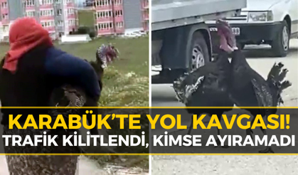 Karabük'te İki Hindi Yolu Birbirine Kattı!