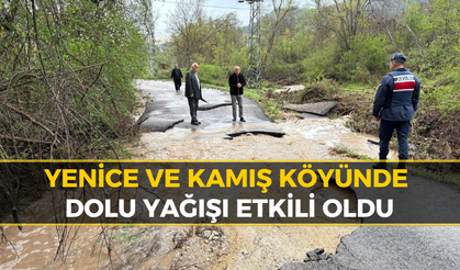 Tamşılar Köyünde Yol Çoktü: Ulaşım Kapalı