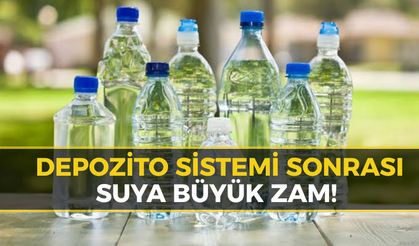 Depozite Fırsatçılara Darbe: Bakanlık Denetim Başlattı