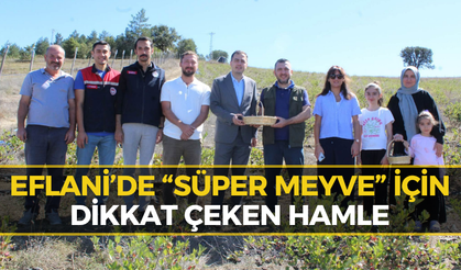 Eflani’de “Süper Meyve” Yetiştiriliyor