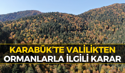 Karabük Valiliğinden Ormanlarla İlgili Flaş Karar!