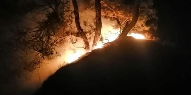 Karabük’te orman yangını: 5 dönüm alan zarar gördü
