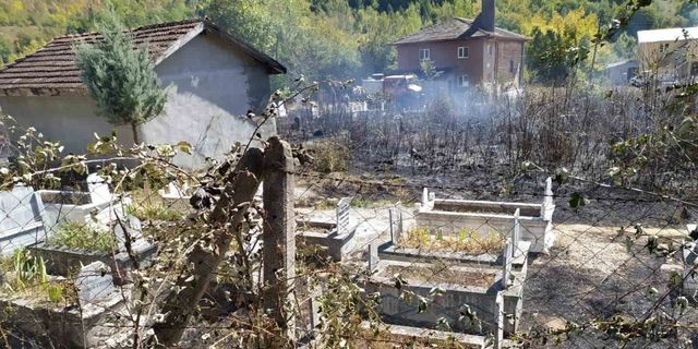 Eflani de Mezarlıkta çıkan yangın söndürüldü