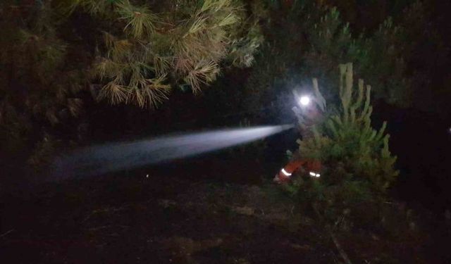 Karabük’te korkutan örtü yangını