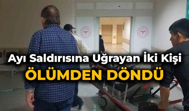 Sürüyü otlatırken ayı saldırısına uğrayan 2 kişi ölümden döndü