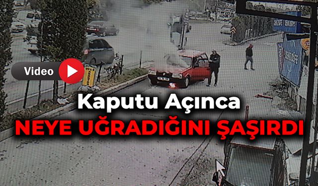 Sürücü Kaputu Açınca Neye Uğradığını Şaşırdı