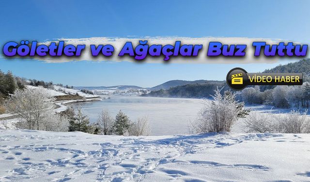 Göletlerin Yüzeyleri Dondu, Ağaçlar Buz Tuttu