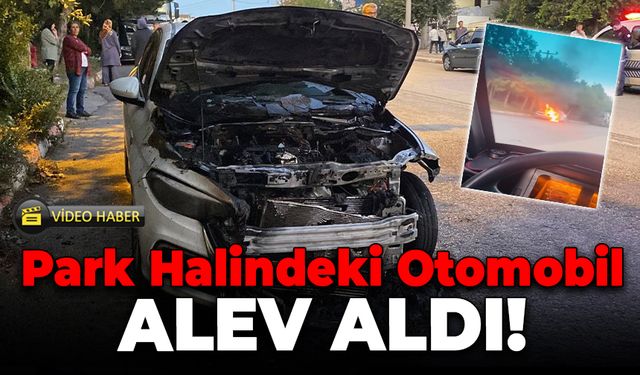 Park Halindeki Otomobilde Yangın