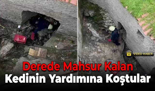 Derede Mahsur Kalan Kedi İtfaiye Tarafından Kurtarıldı