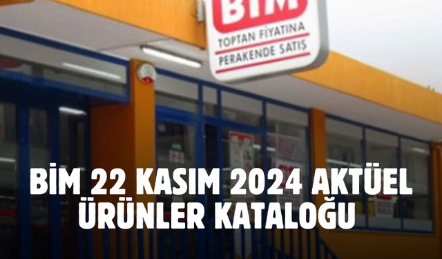 BİM 22 Kasım 2024 aktüel ürünler kataloğu