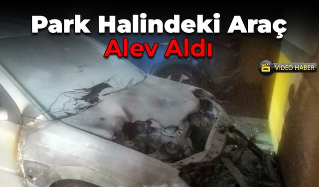 Yenice’de Park Halindeki Otomobilde Yangın Paniği