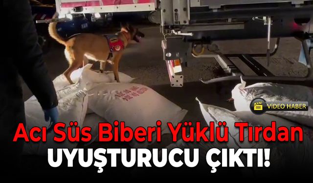 Acı Süs Biberi Yüklü Tırdan Metamfetamin Çıktı!